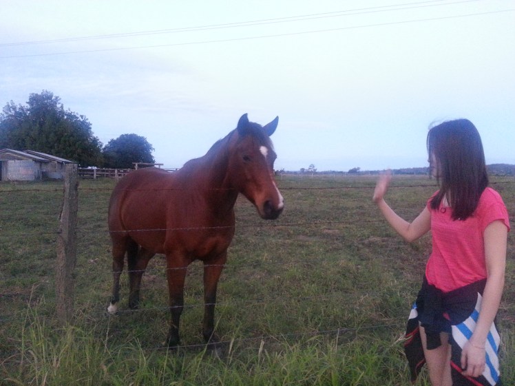 I actually hate running. But it was one of the few things we could do in Wallaville to kill time. It's a lovely place despite all the shits, with lovely creatures like this that you may encounter here