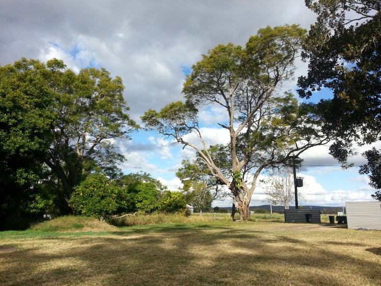 Reading at the backyard became another activity that I could do to kill time