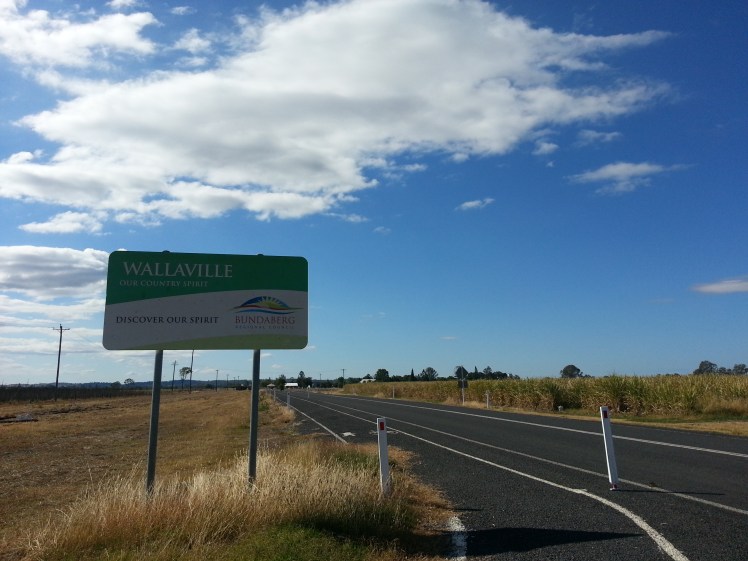 Back to Wallaville. I couldn't believe I put myself into this shit for two times... Well, I make the same mistake twice, just to be sure